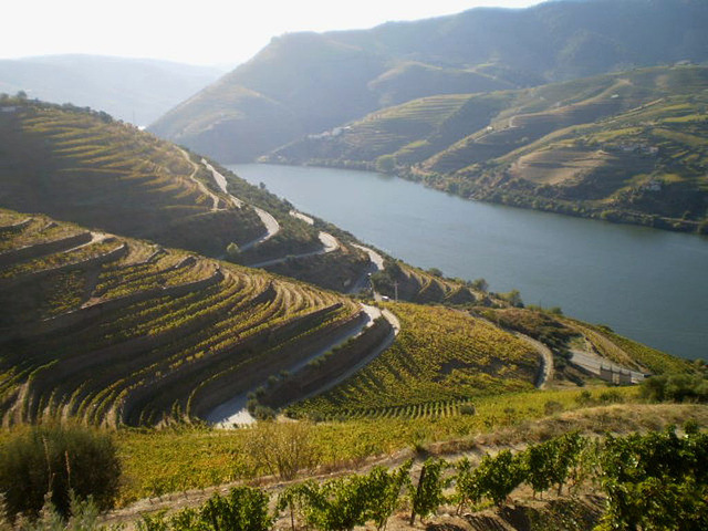 Towering view over Douro River.