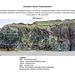 Druidston Haven: Cliff Section 1 interpretation