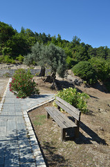 Rhodes, The Park near the Monastery of Kalopetras