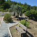 Rhodes, The Park near the Monastery of Kalopetras