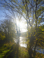 Herbstmorgen an der Elbe - aŭtuna mateno en Elbvalo