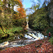 Catrigg Force