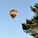 Hot air balloon over the garden