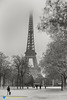 Paris - Eiffel tower in winter