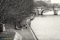Rive de la Seine