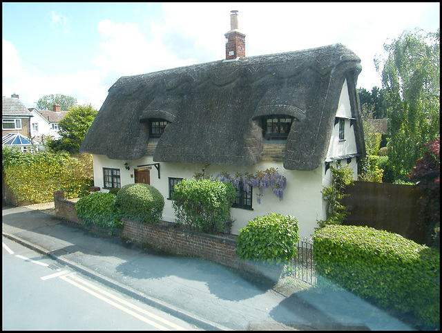 wisterious thatched cottage