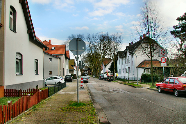 Lossenstraße (Bottrop-Eigen) / 15.02.2020