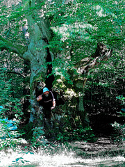 Der Waldschrat (2005)
