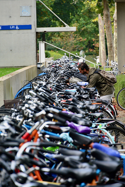 Tilburg 2017 – Tilburg University – Bikes