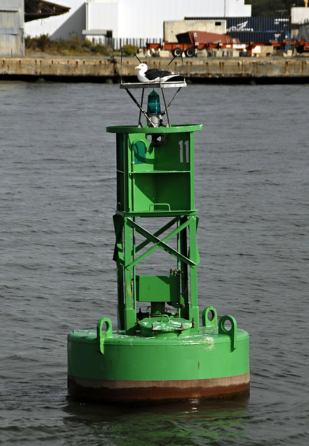 Green buoy at Norfolk, VA