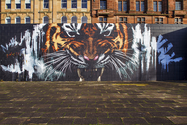 Glasgow Tiger Mural, 2021