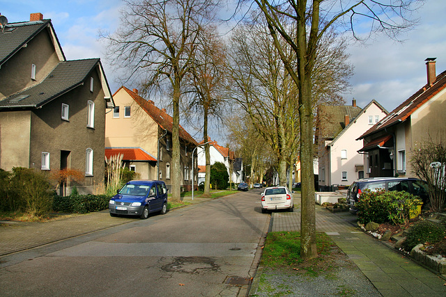 Beyrichstraße (Bottrop-Eigen) / 15.02.2020
