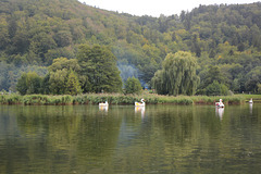 Romania, Lake Noua at Adventure Park Brașov