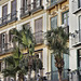 Three Palm Trees – Calle Calderería at Calle Granada, Málaga, Andalucía, Spain