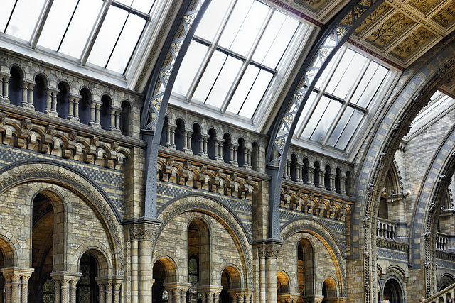 Steel Glass and Stone – Natural History Museum, South Kensington, London, England