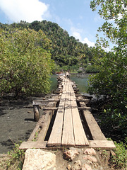 Passerrelle boisé / Wooden pathway above water