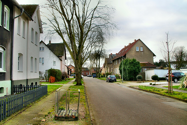 Beyrichstraße (Bottrop-Eigen) / 15.02.2020