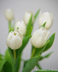 White Tulips - Topaz Painting Oil Painting II