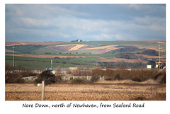 Nore Down, north of Newhaven, from Seaford Road - 15.1.2016
