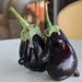 Amusingly-shaped aubergines