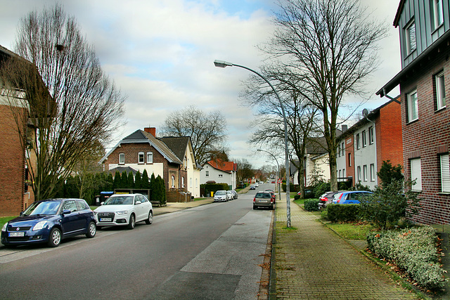 Rheinbabenstraße (Bottrop-Eigen) / 15.02.2020
