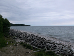 Wooden beach