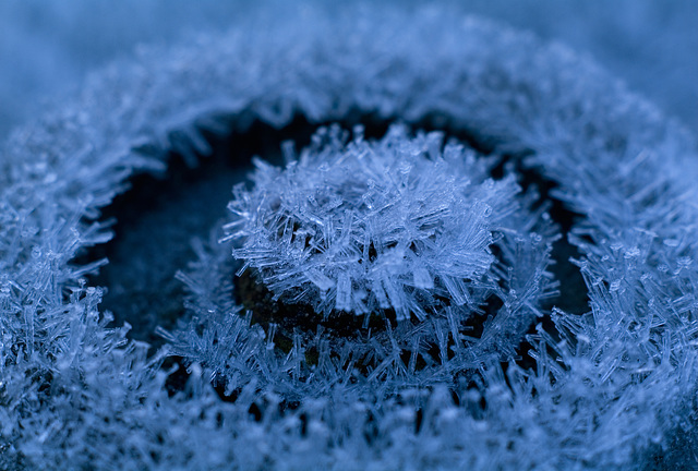 Shetland - frost