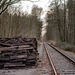 Rails and wood