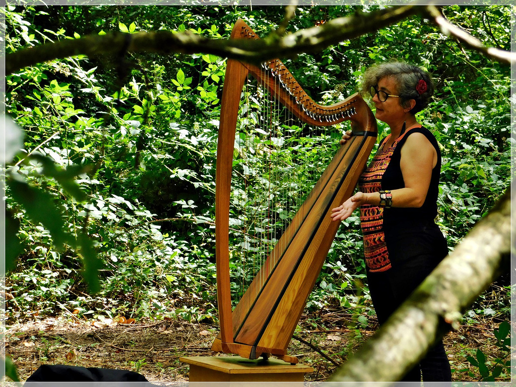 Lili ( harpe celtique ) à l'art est dans les bois (22)