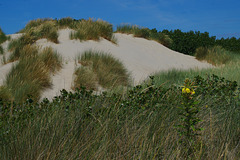 La dune !