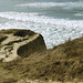Watching the Tide Come In – San Gregorio Beach State Park, San Mateo County, California