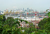 Singapore Port And Skyline