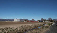 Farm near Henley