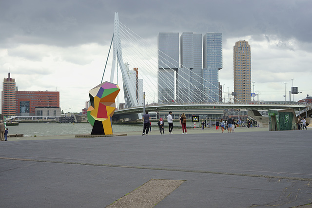Erasmusbridge ,Rotterdam
