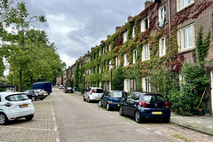 Amsterdam 2023 – Ivy league