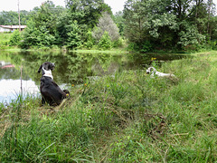Branco & Garip by the pond