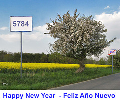Feliz año nuevo -  Happy New Year