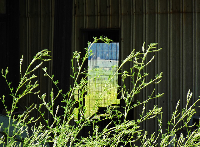 Window to a field