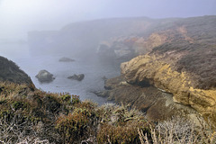 Misty Headland – Point Lobos State Natural Reserve, California