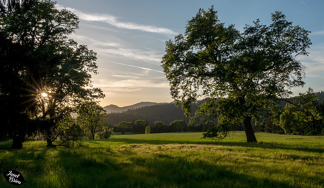 Pictures for Pam, Day 186: Magic Hour near Lost Creek Lake