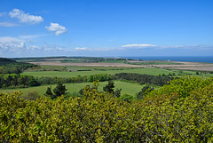 Sheringham vista from viewing tower with PiP's