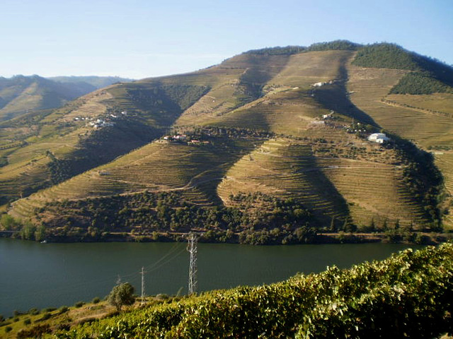 Douro vineyards landscape - UNESCO heritage since 2001.