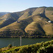 Douro vineyards landscape - UNESCO heritage since 2001.