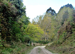 Rural Track.
