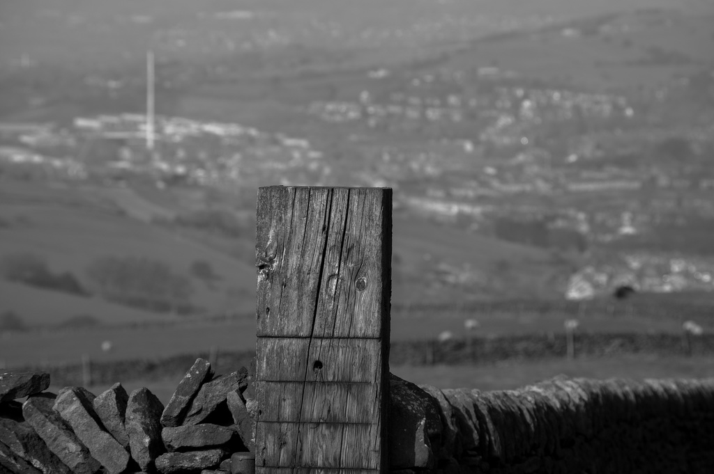 Fence Post in Black and White