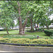 Cavendish Square gardens
