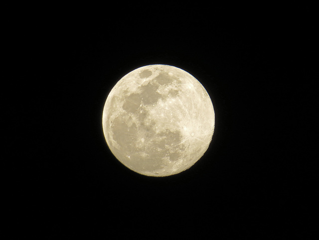 The Whole of the Moon