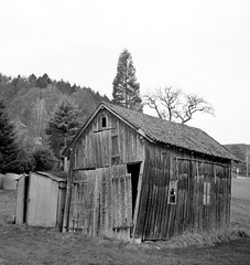Schwarzwaldhütte