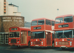 Eastern Counties Bury St. Edmunds bus stn RL673, VR225, VR195 - Aug 1981