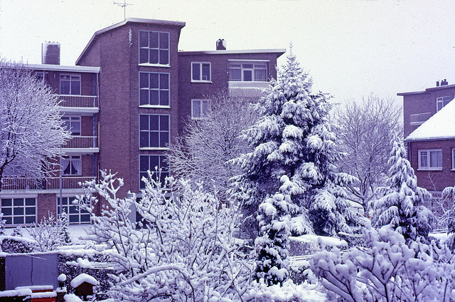 1985 ,at home with a late winterview !